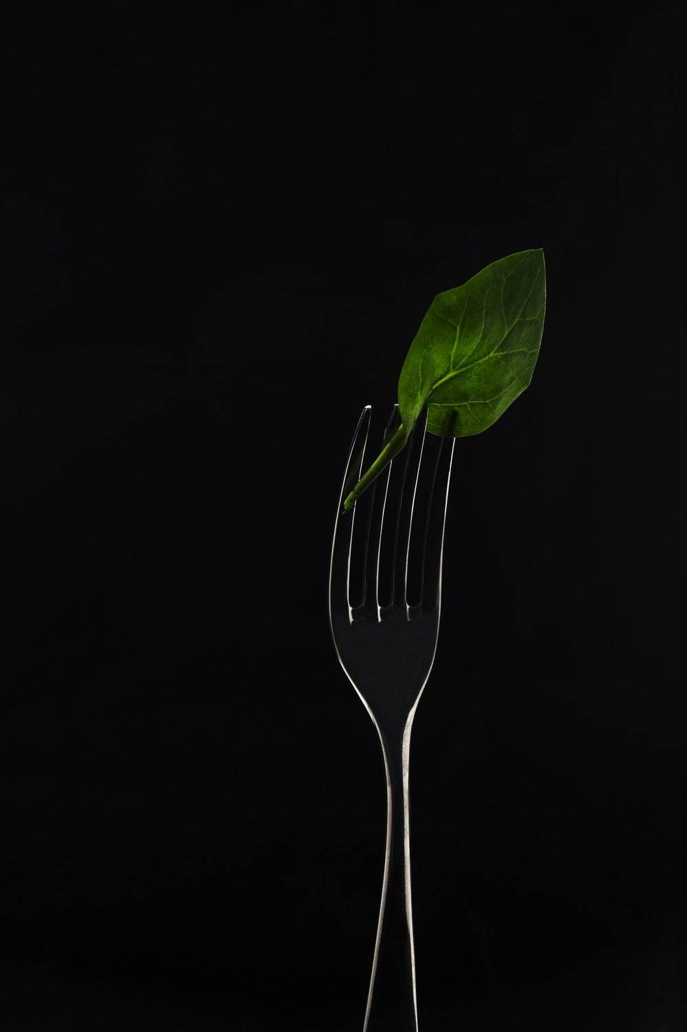 еда, шпинат, вилка, фудфото, Алексей Хоруженко