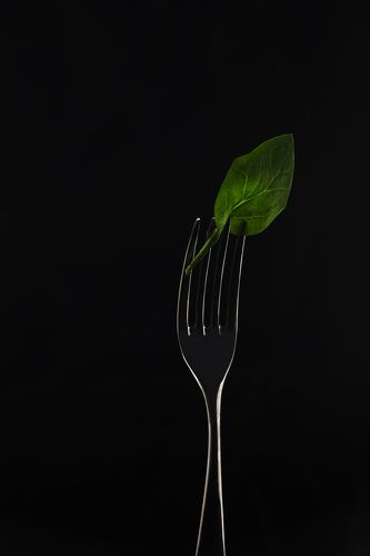 spinach on the silhouette