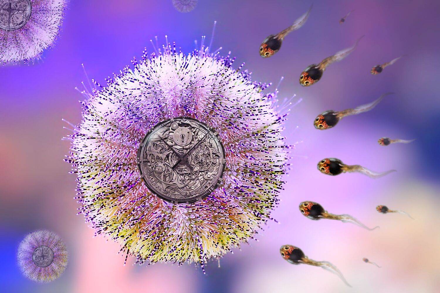 креатив, обработка, концепция, конструкции, непонятности, concept, incomprehensibility, difficulties, mechanisms, constructions, Дмитрий Салтыков