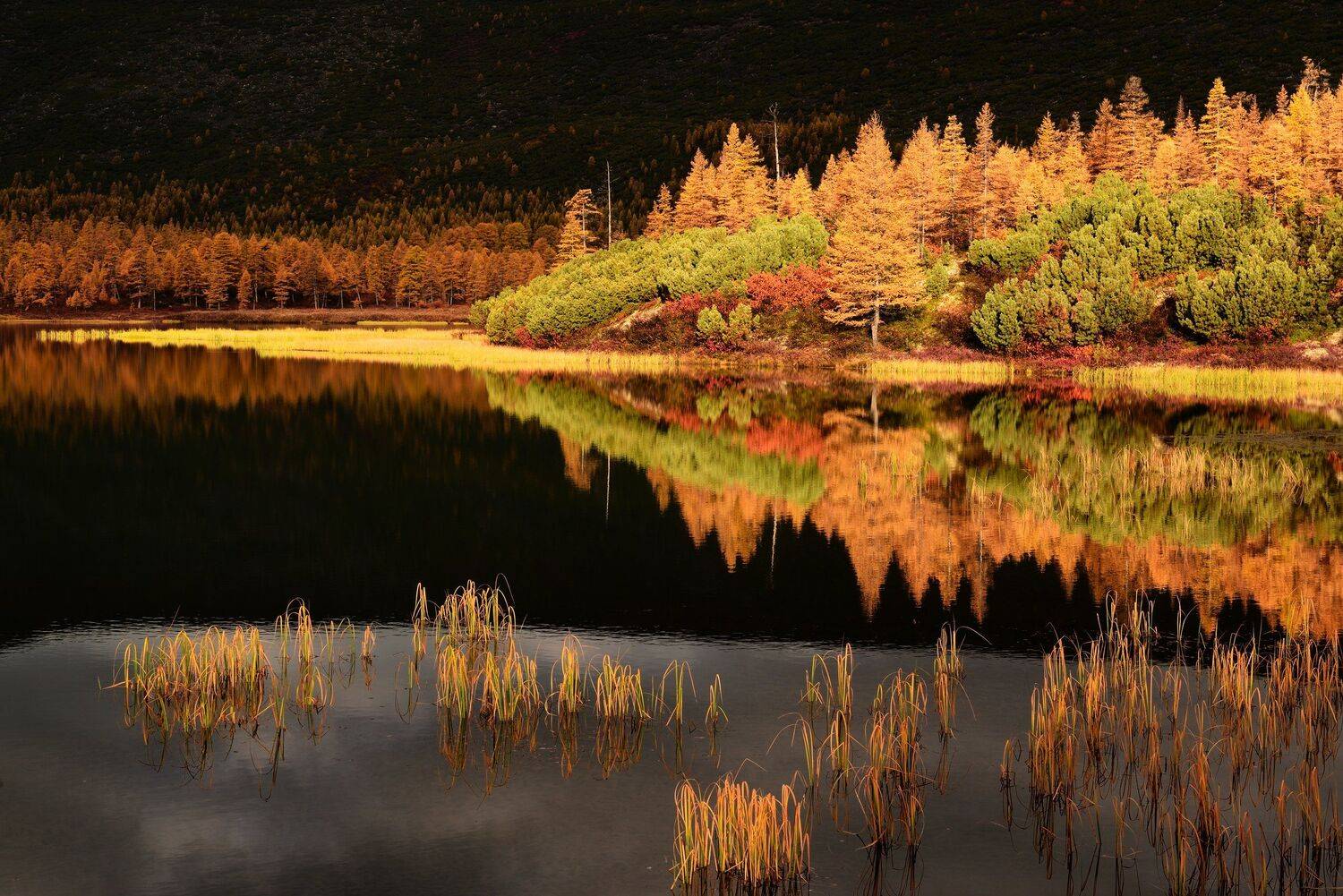 озеро, джека, лондона, Максим Евдокимов (phototourtravel.ru)