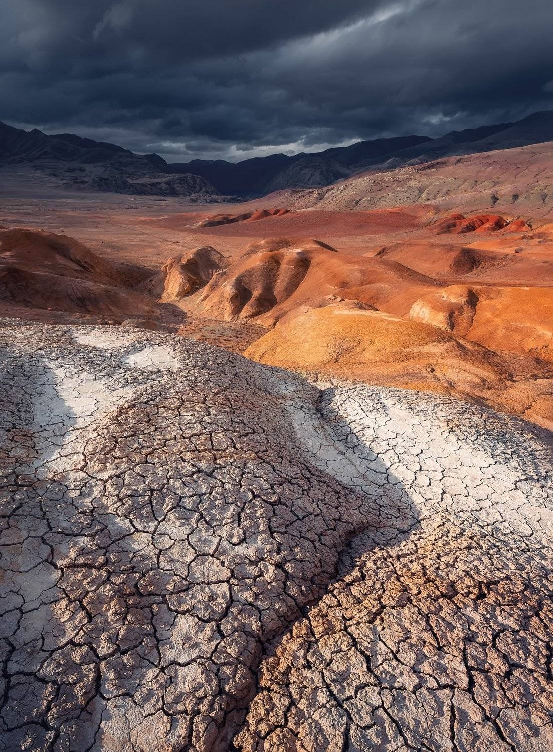 , Алексей Самойленко
