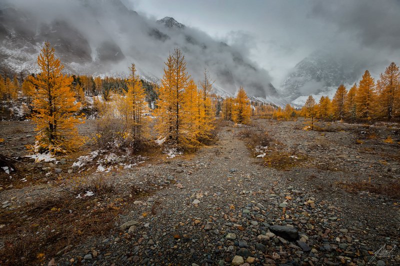 Долина реки Актру фото превью