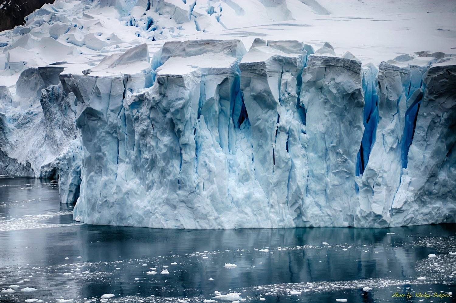 , Николай Шелепов