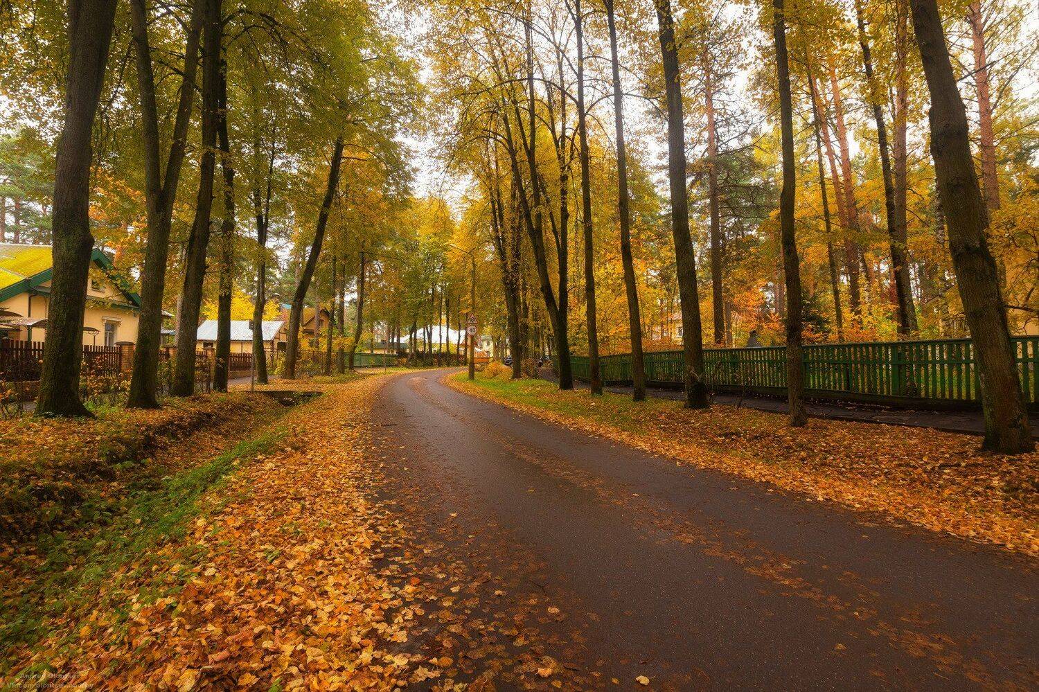 солнце, россия, рассвет, природа, подмосковье, погода, пейзажи, пейзаж, отражение, наукоград, красота, дубна, вода, весна, weather, water, spring, russia, reflection, naukograd, nature, moscow, landscape, dawn, canon, dubna, beauty, Андрей Олонцев