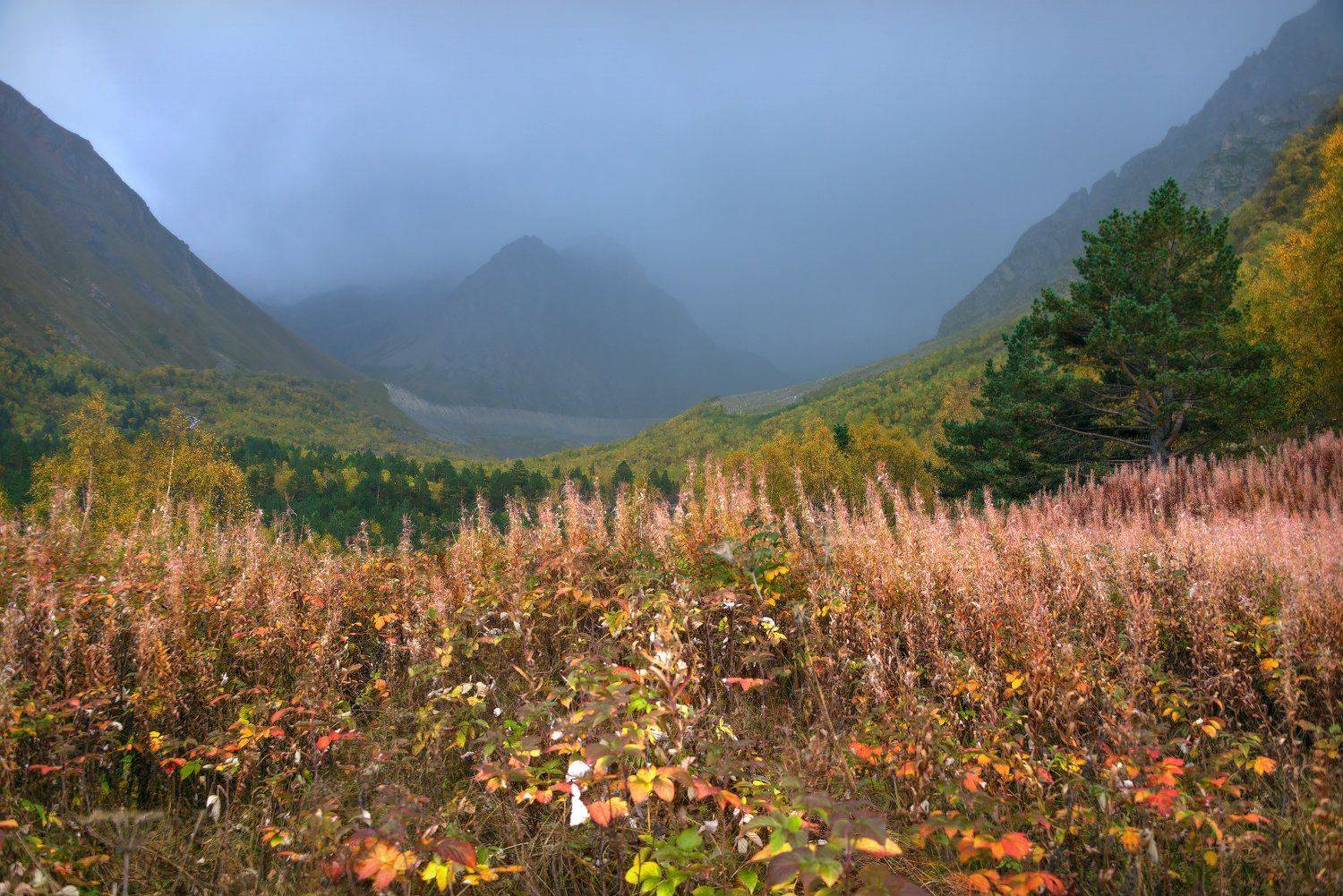 осень,горы,чегем,туман,ветер, Елена Брежицкая