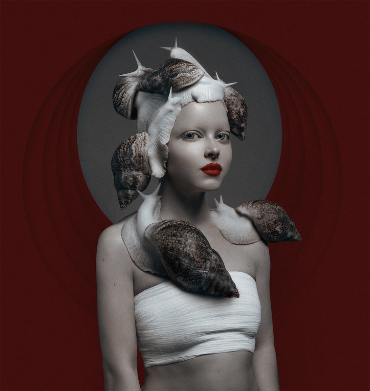 Улитка фото превью