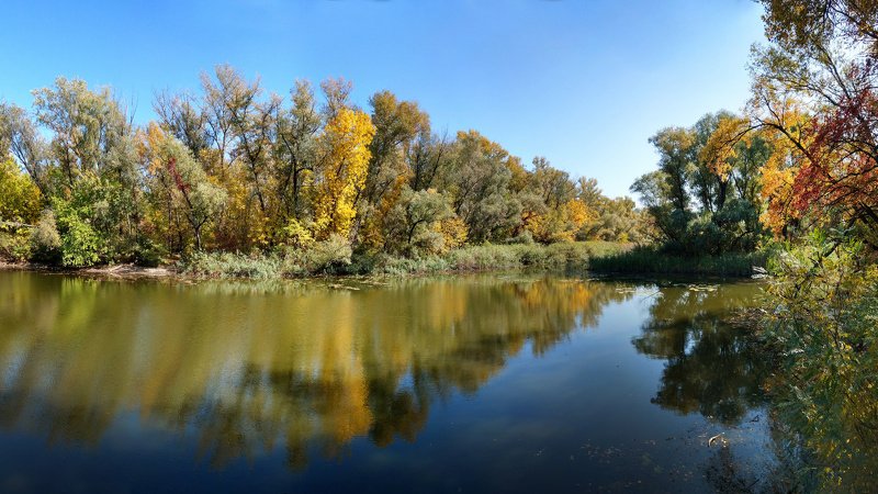 вечер,пейзаж,релакс,отражение,вода,берег,осень *** фото превью