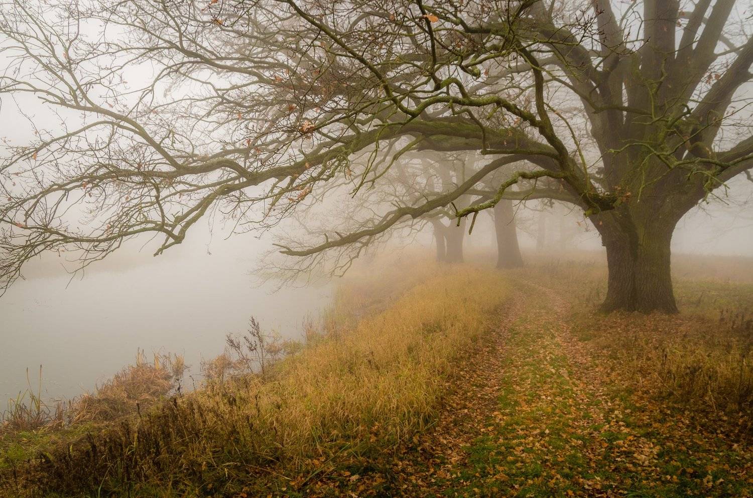 , Maciej Werbliński