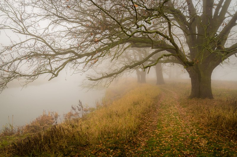 Autumn path фото превью