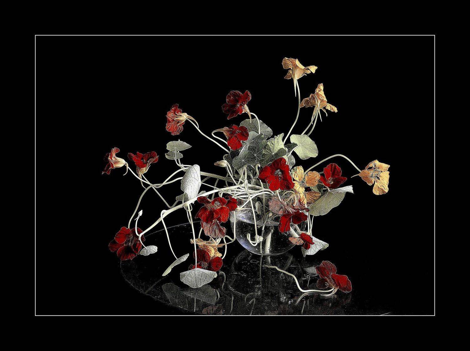 сергей алексеев, Сергей Алексеев