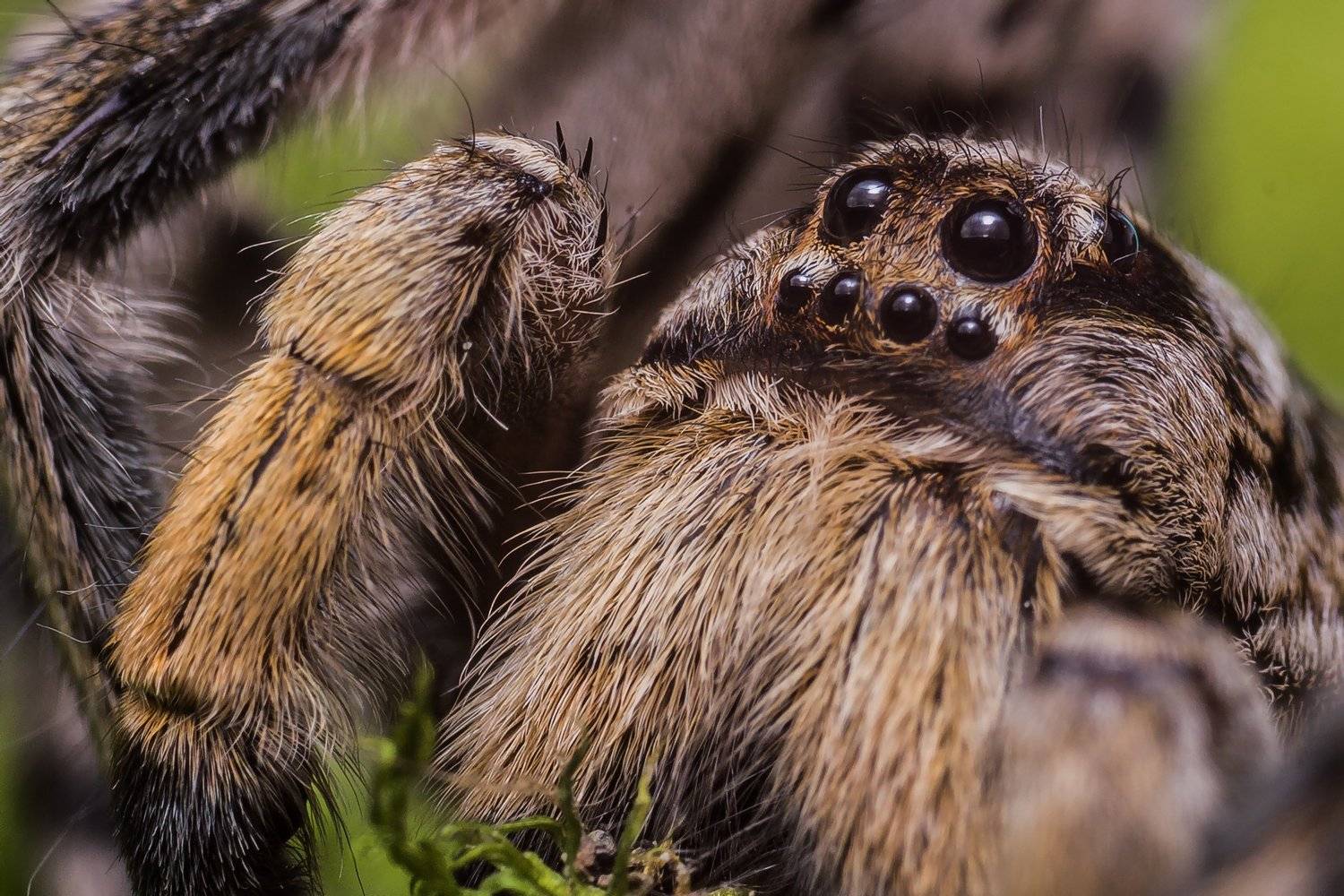 , Алексей Козлов