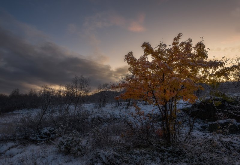 ...нет больше красок у осени фото превью
