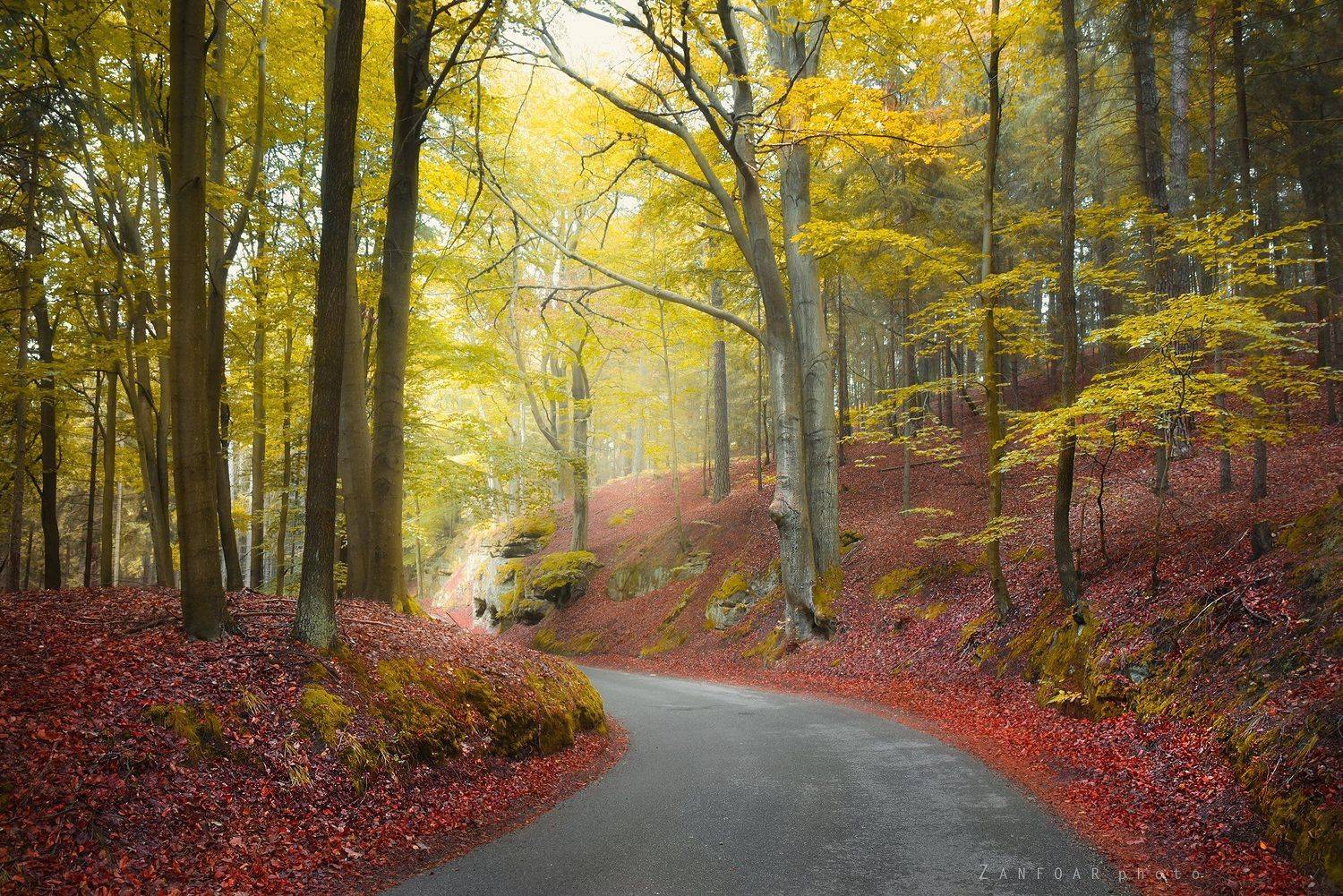 осень,zanfoar,czech republic,bohemia,богемный рай,czech paradise,чехия,  Zanfoar