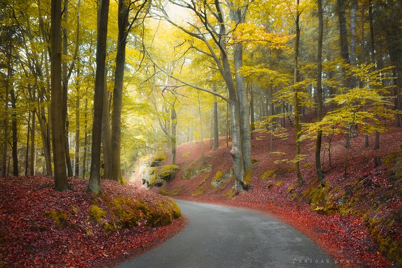осень,zanfoar,czech republic,bohemia,богемный рай,czech paradise,чехия начинается осень .. фото превью