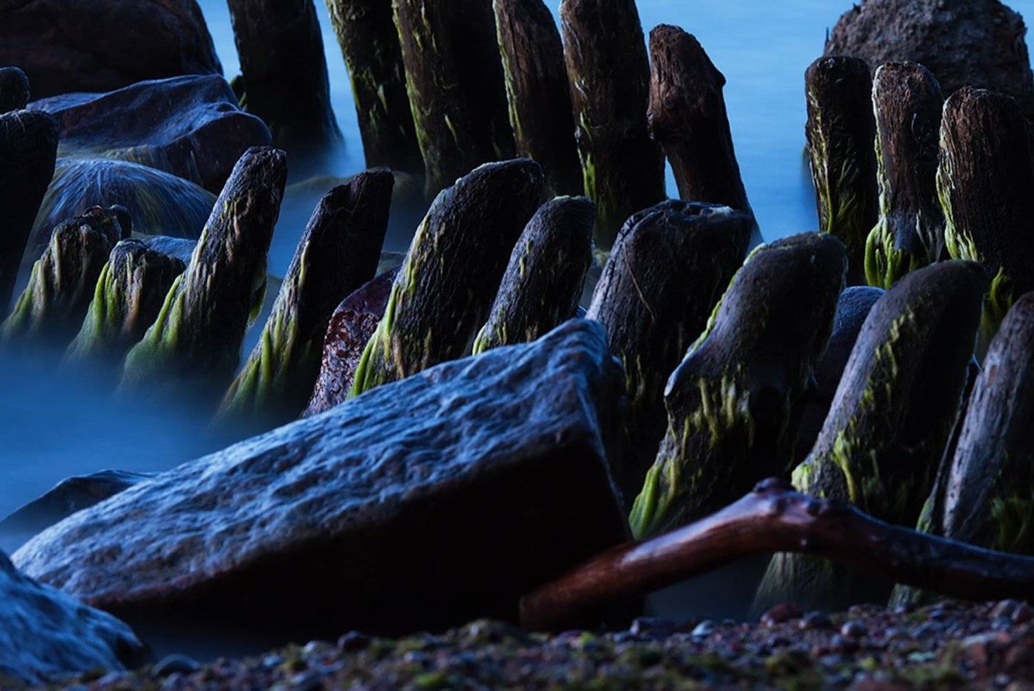 , Геннадий Новов