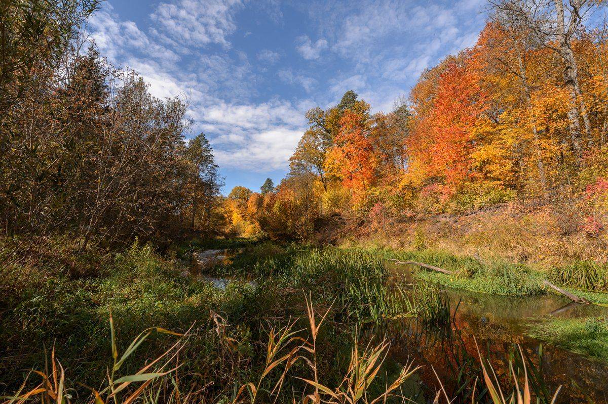 пейзаж,природа,осень,красота,россия, Юлия Лаптева