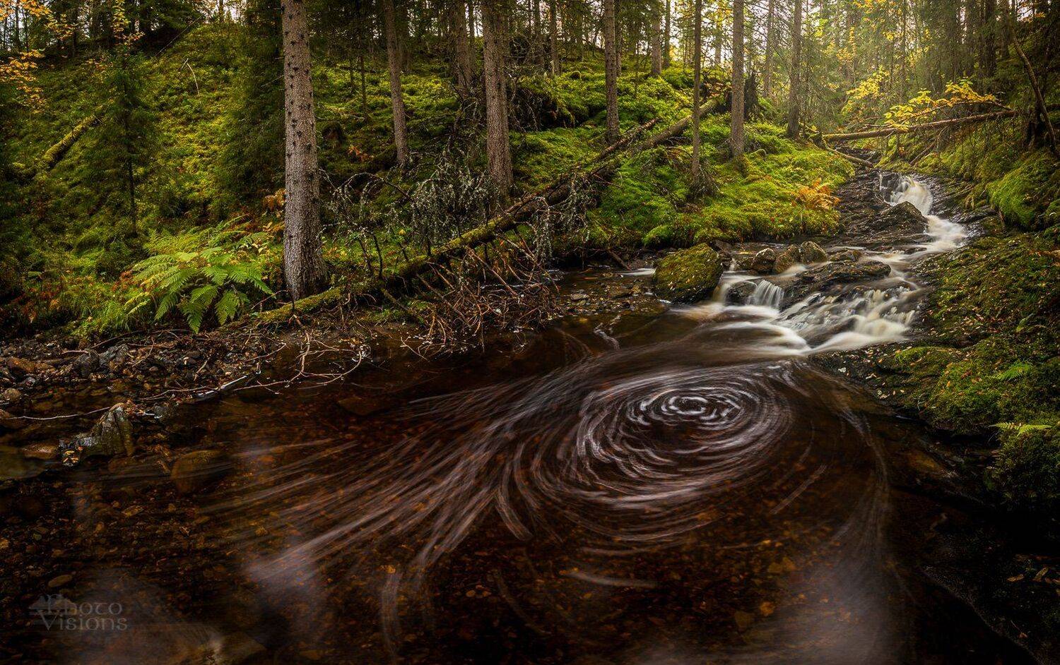 forest,nature,natural,creek,river,water,flowing,forest,woods,woodland,norway,norwegian,boreal,, Adrian Szatewicz