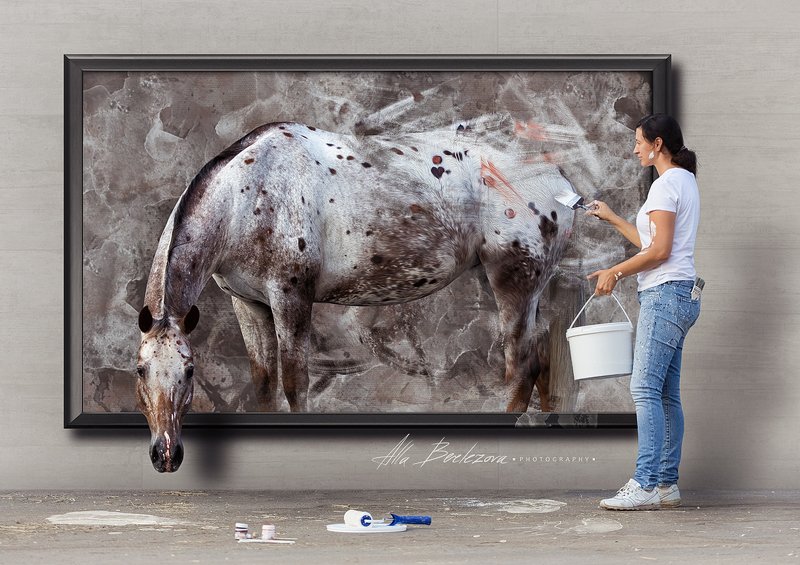 horse, appaloosa, лошадь, аппалуза, портрет, животные, usa Нарисуй свою мечту - и она обязательно станет реальностью фото превью