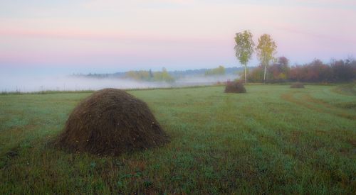 ПОКОС У РЕКИ