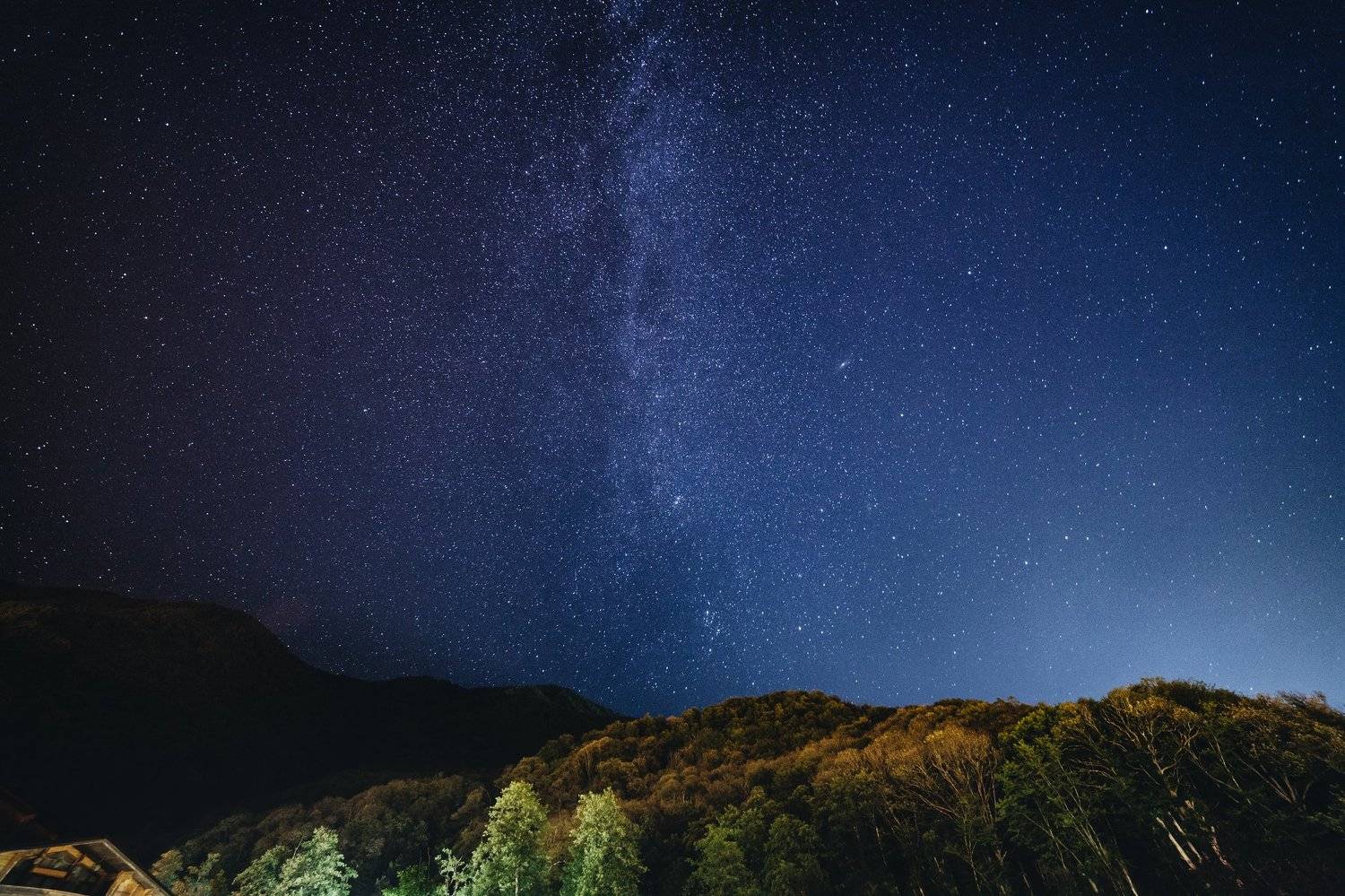 млечный путь, сочи, Элина Хван