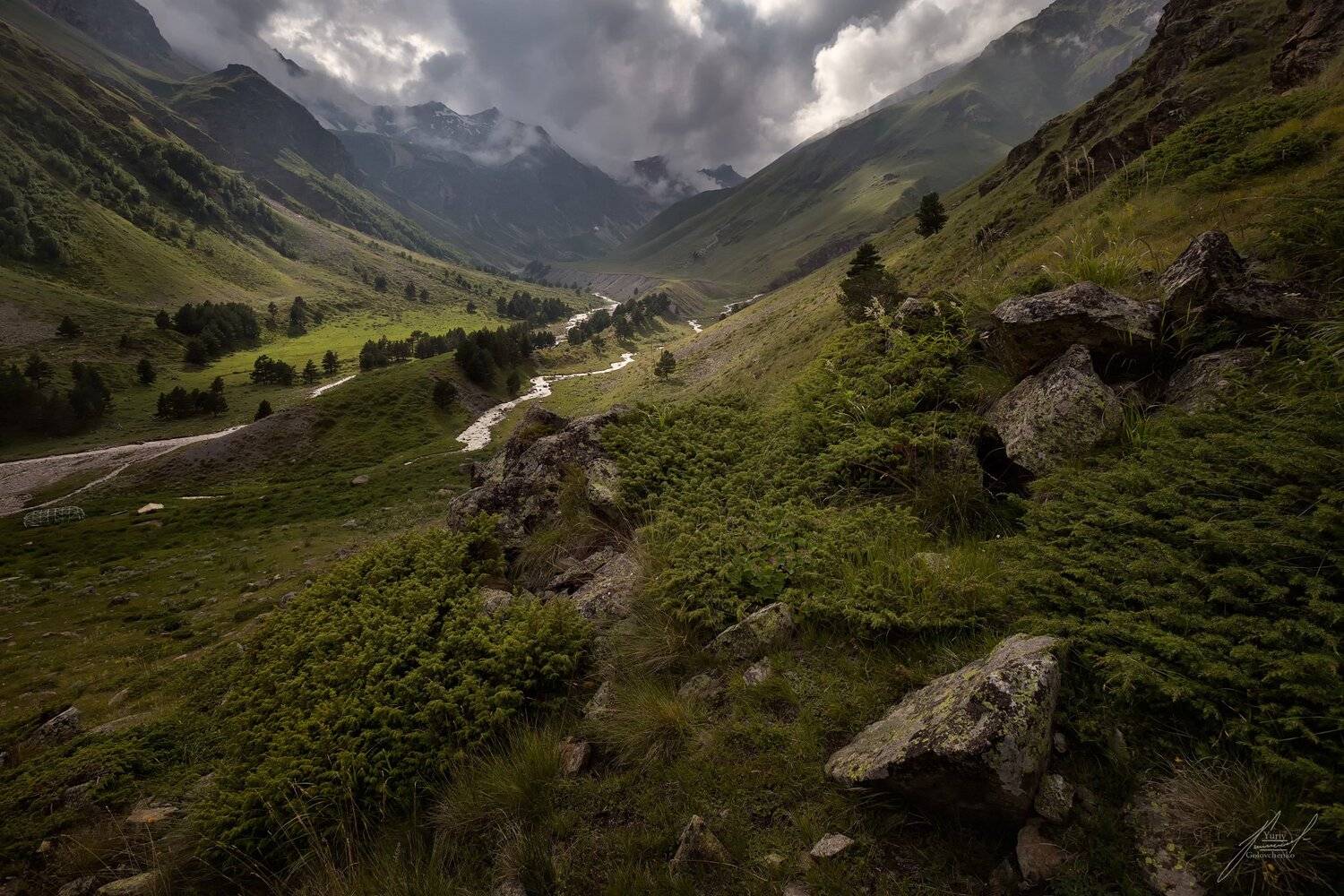 , Юрий Головченко