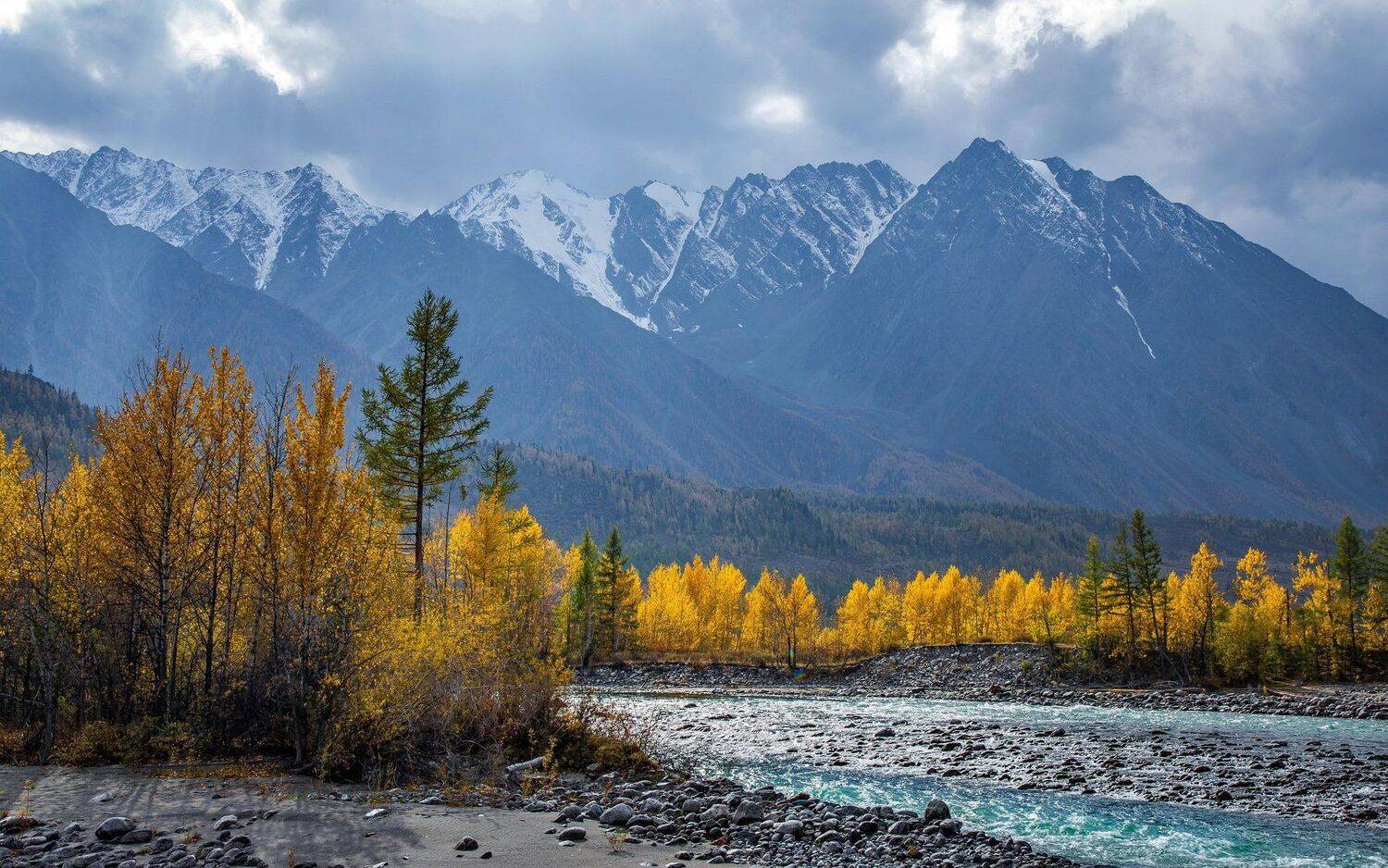 аргут. джазатор. беляши. осень. алтай., Евгений Дроботенко