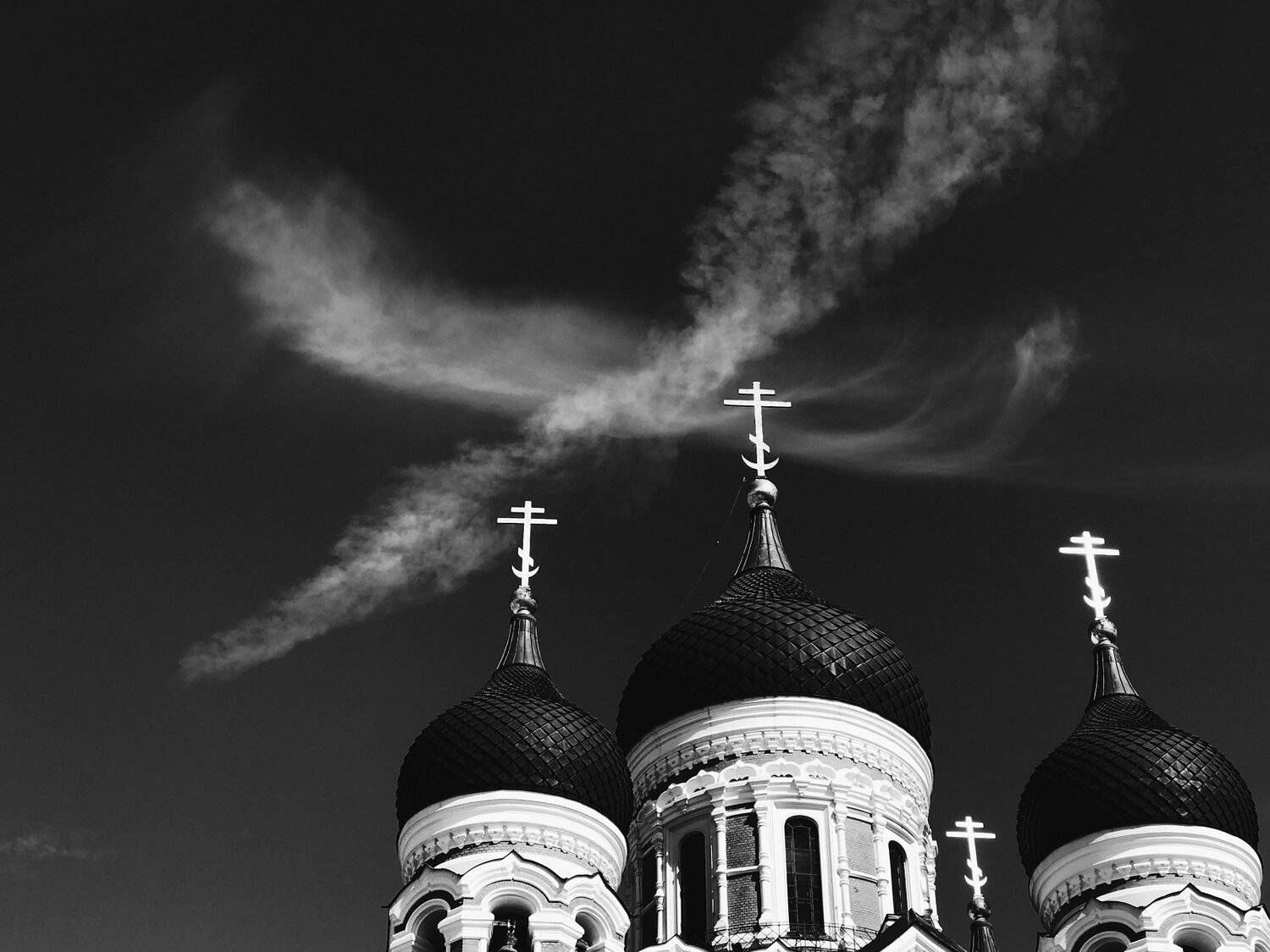 , Синицына Юлия