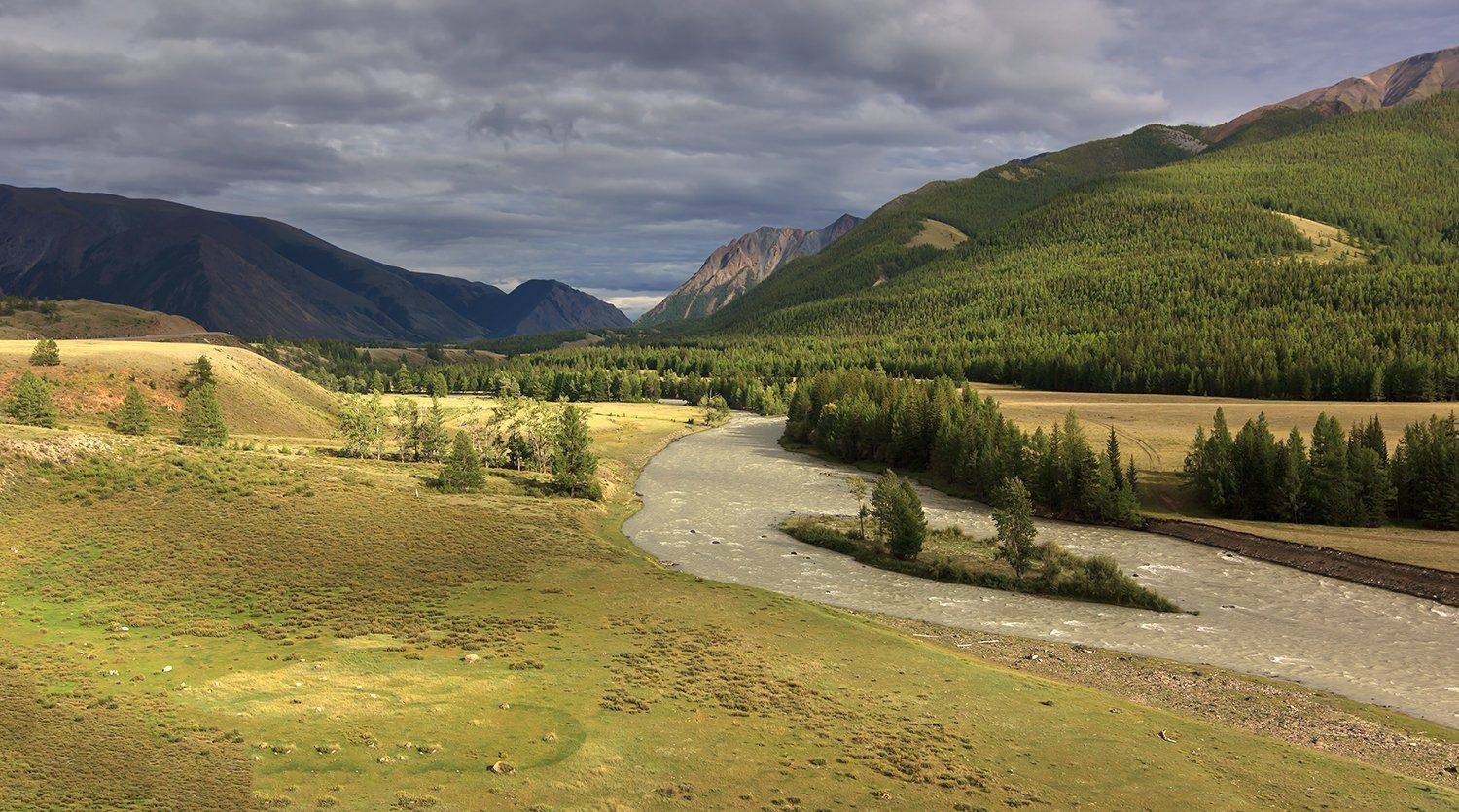 , Дмитрий Д.