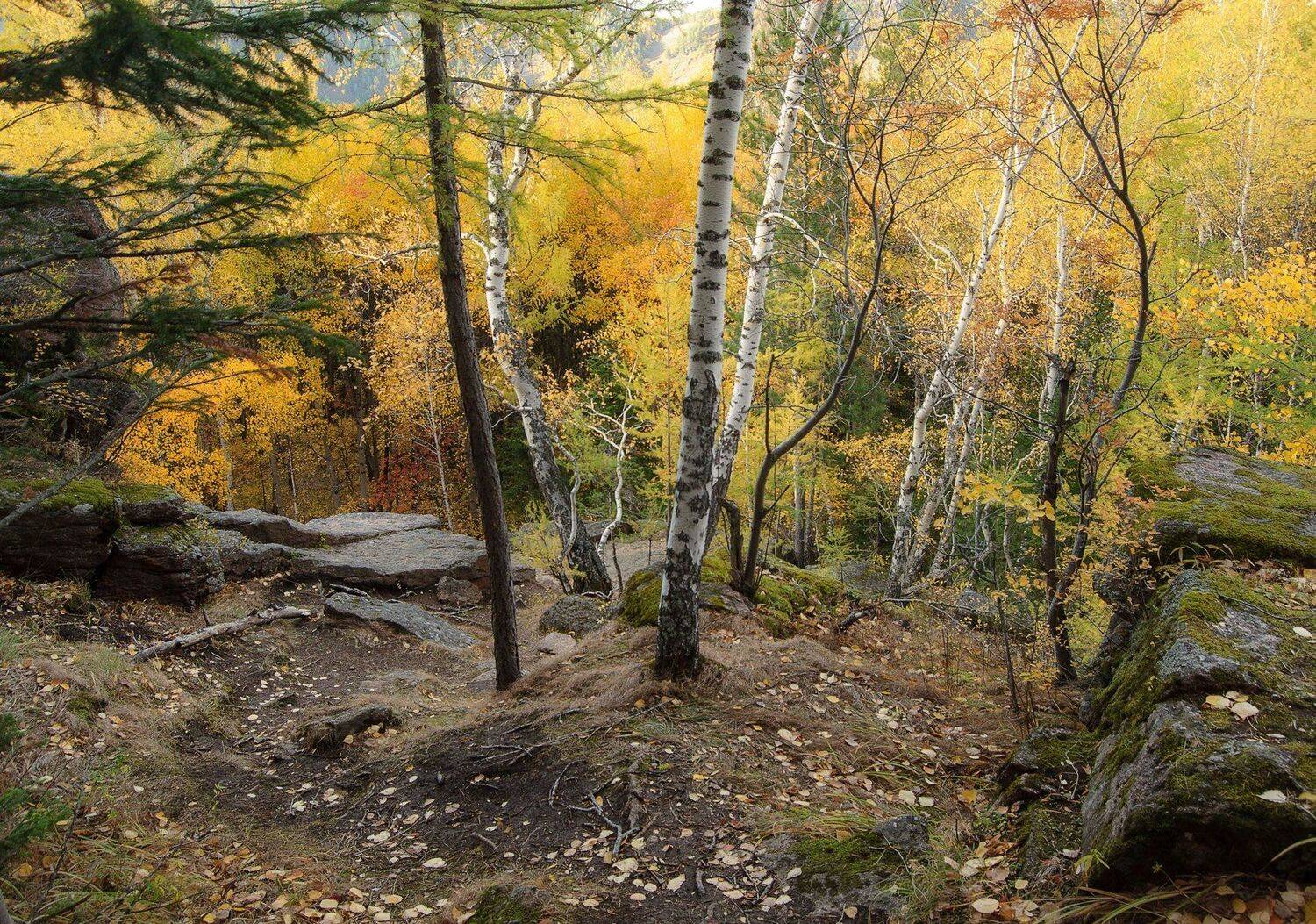 , Марина Фомина