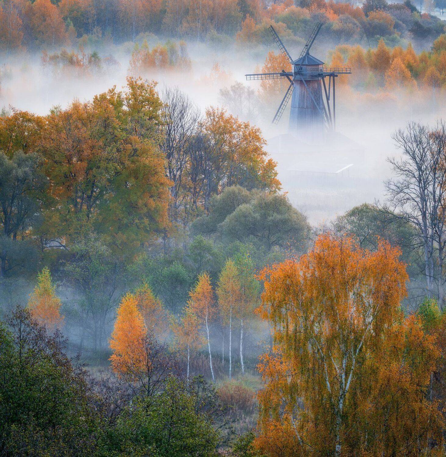 утро, рассвет, природа, туман, река, истра, Виталий Левыкин