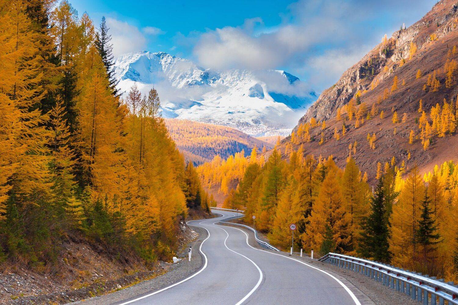 алтай, Татьяна Степанова