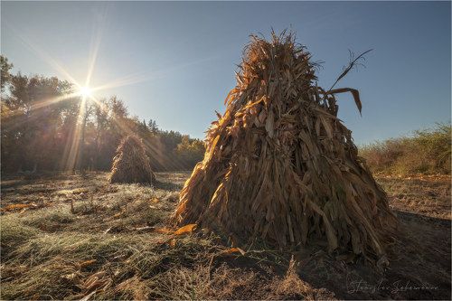 Осень машет нам, привет.