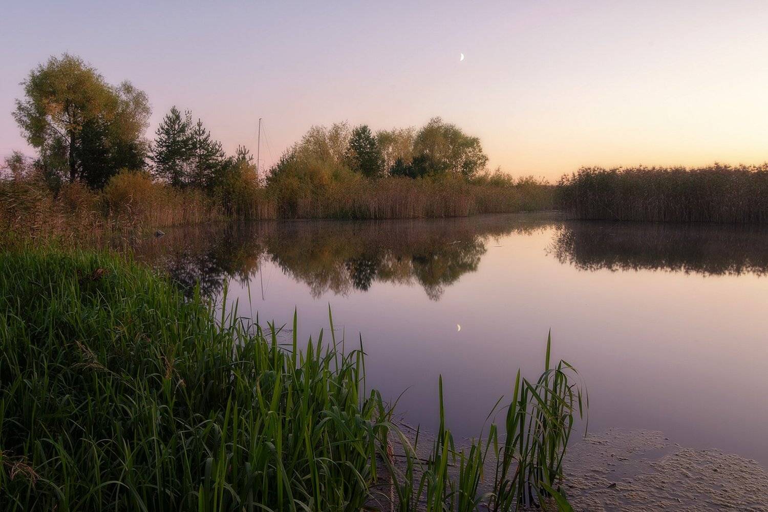 , Федотов Антон