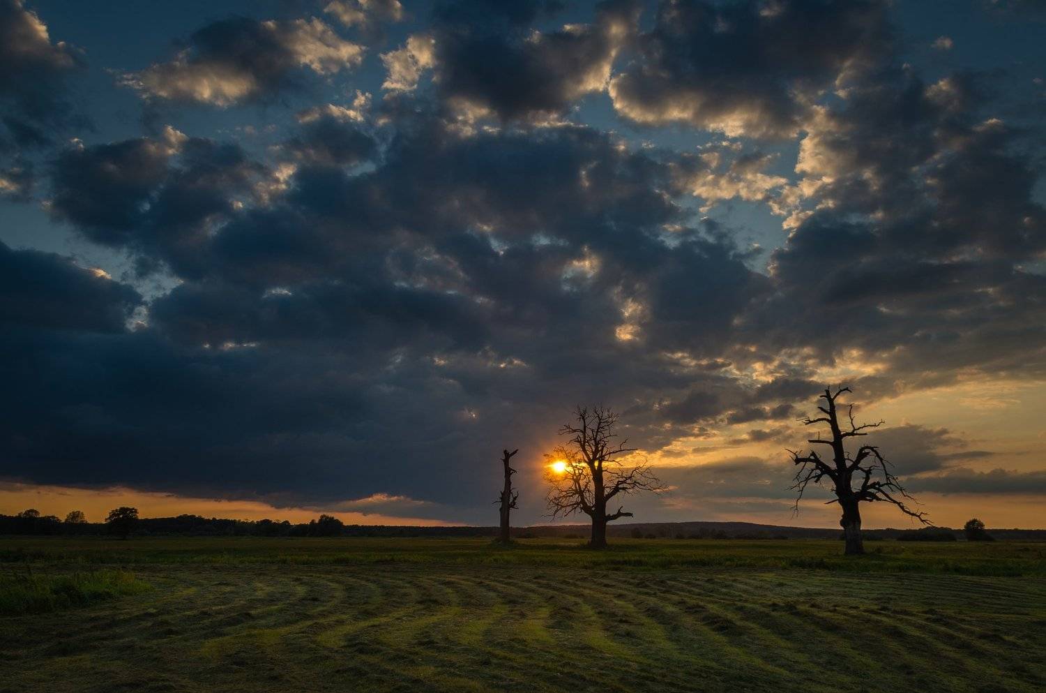 , Maciej Werbliński