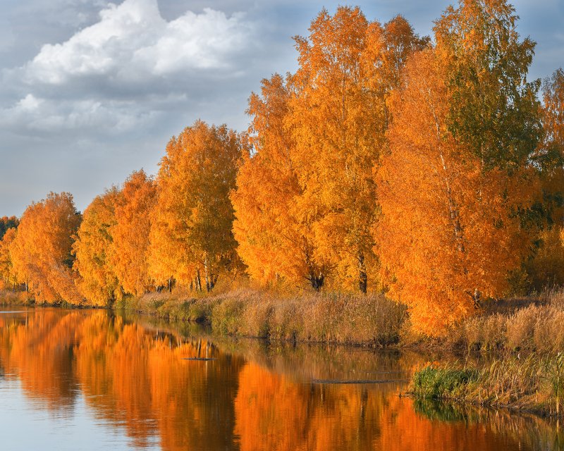 Золото осени фото превью