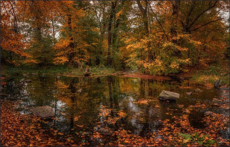 Осень на реке Мыка фото превью