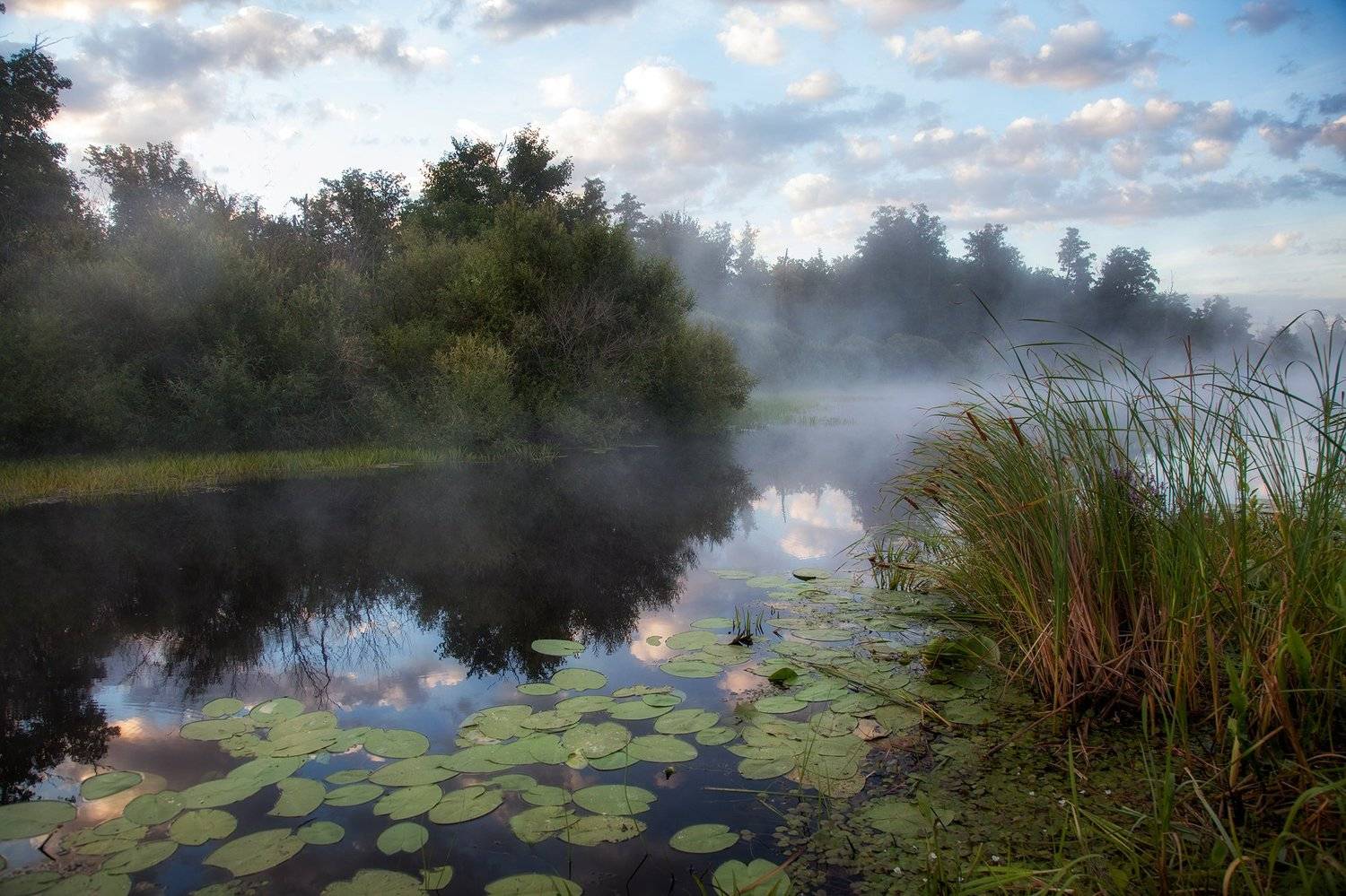 пейзаж,река,облака,небо,отражение,туман,кувшинки, Тамара Андреева