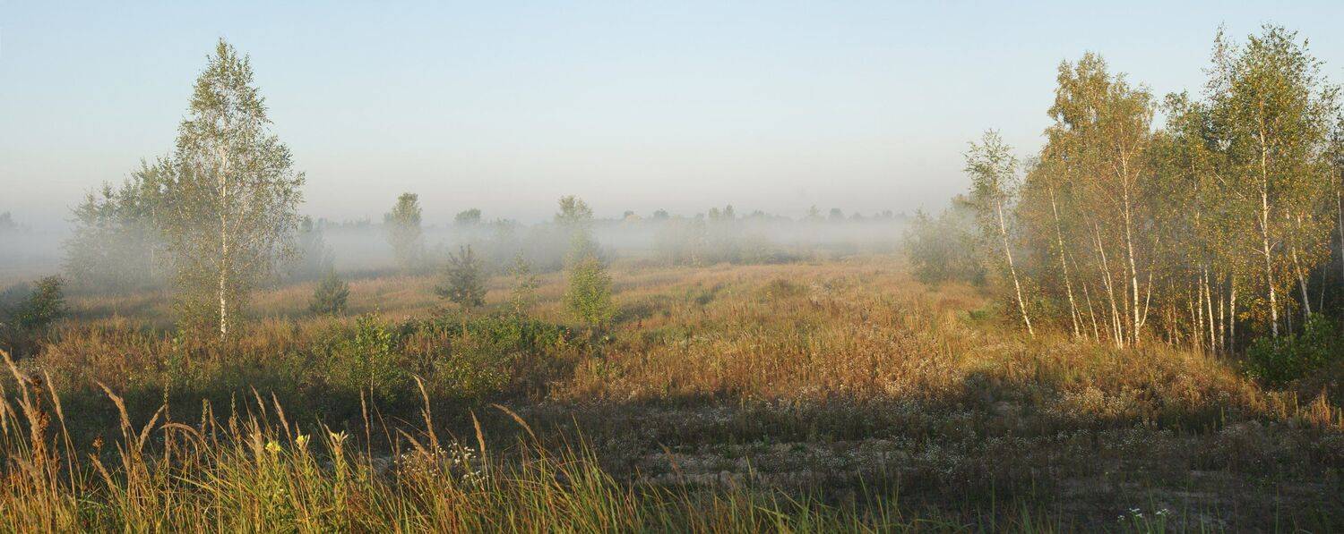 , Чепленко Алексей