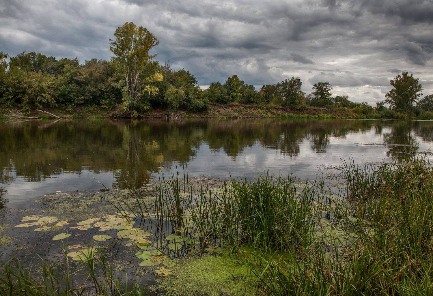 пейзаж,река,облака,небо,отражение,туман,кувшинки, Тамара Андреева
