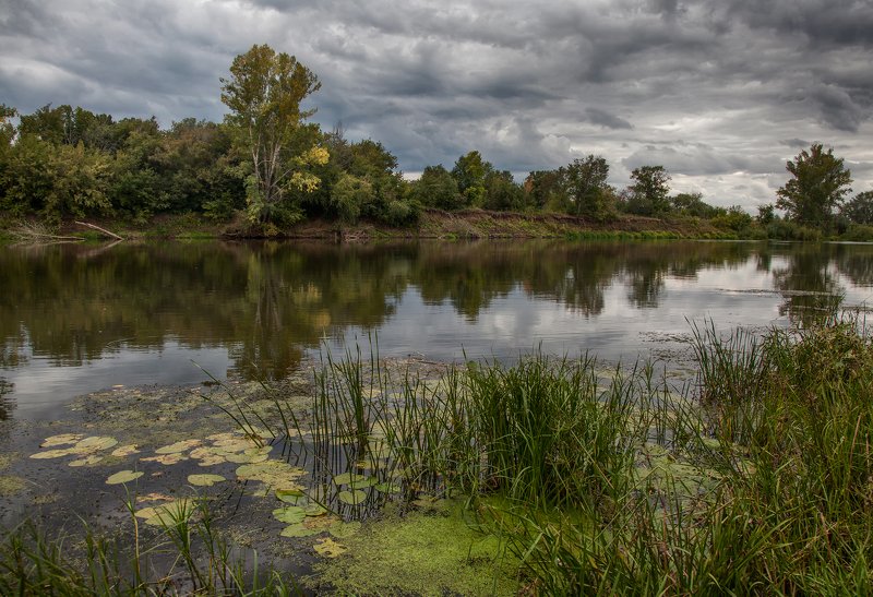 пейзаж,река,облака,небо,отражение,туман,кувшинки Сентябрь фото превью