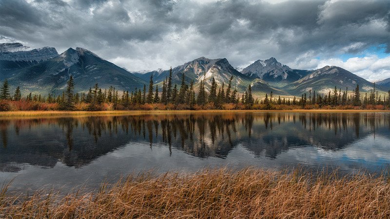 в погоне за светом. альберта, канада, alberta, canada, @1pro.photo топи Канады фото превью