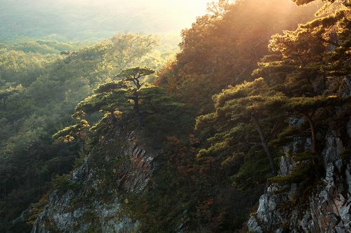 В вечерних красках осени.