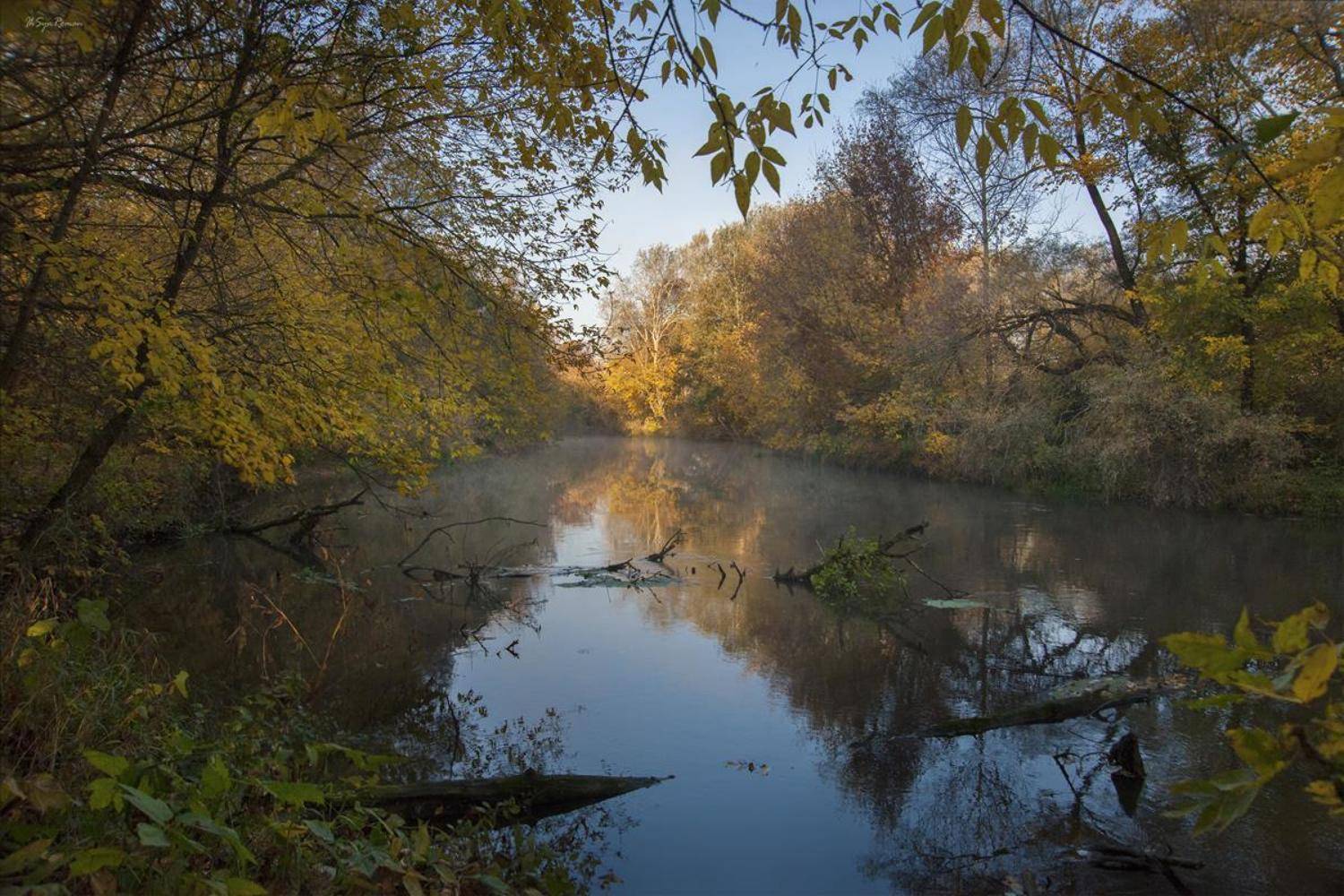 берег,лес,осень,пейзаж,река,туман,утро, Roma  Chitinskiy