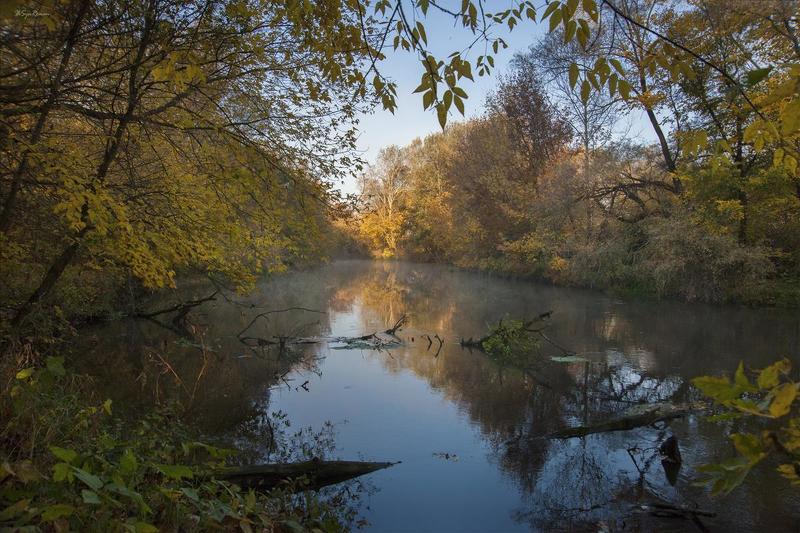 берег,лес,осень,пейзаж,река,туман,утро В осенних рамках ... фото превью