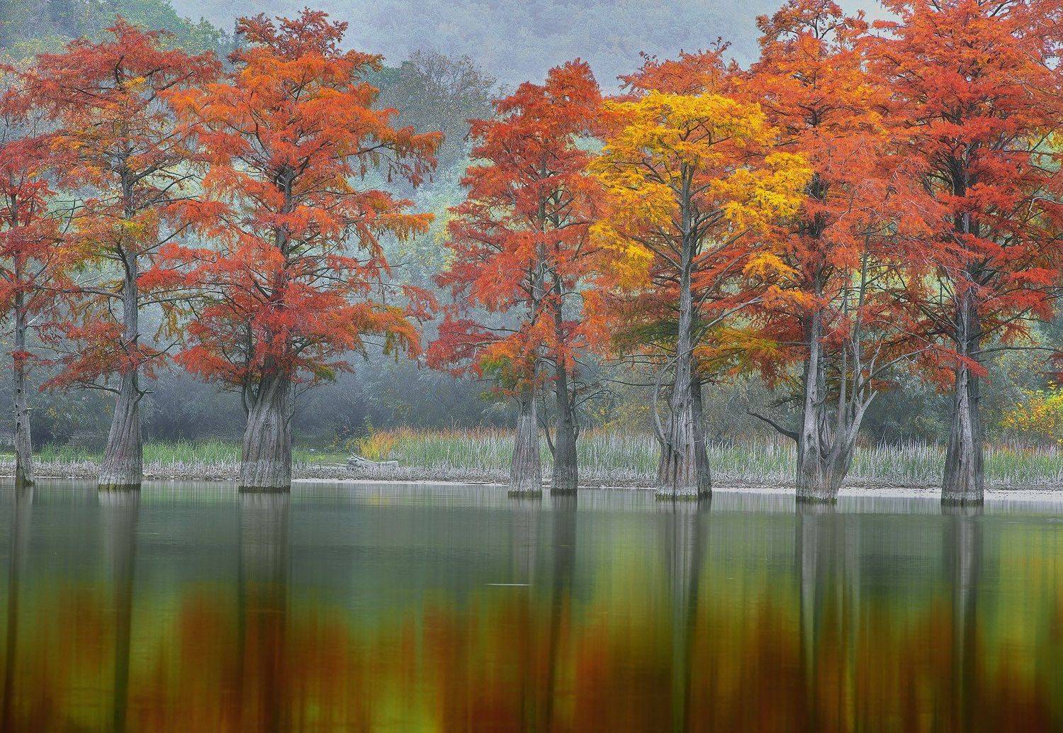, Александр Костенко