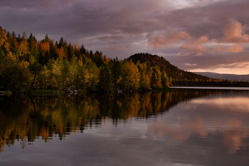 Серная осень