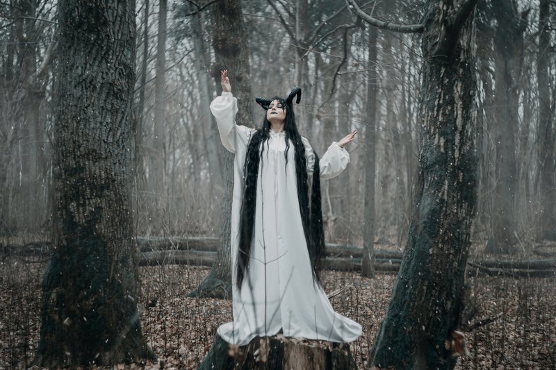 The Guest фото превью