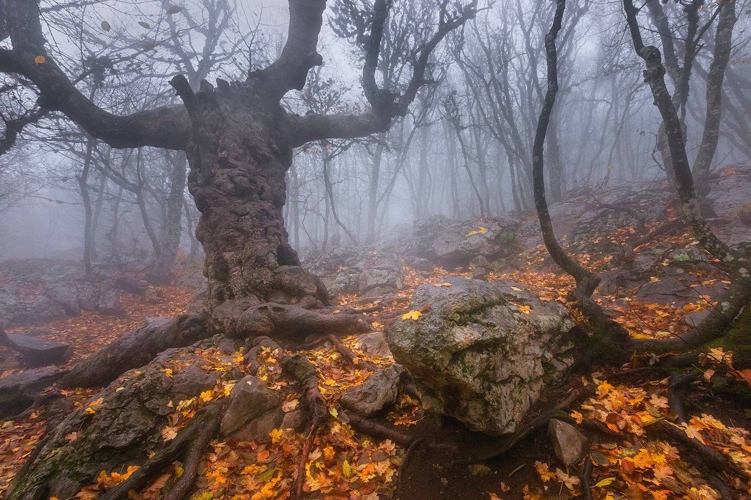 , Александр Костенко