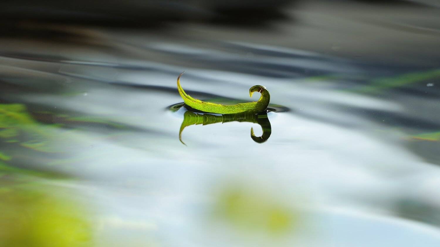 , Александр Шаварёв