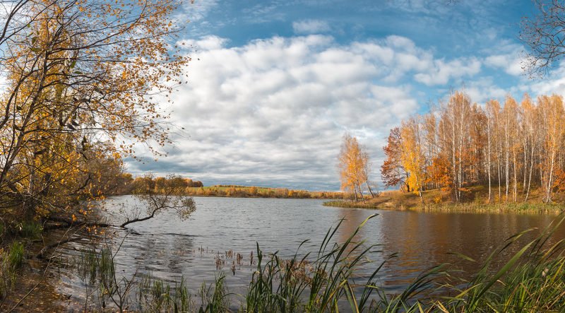 Гришинский фото превью
